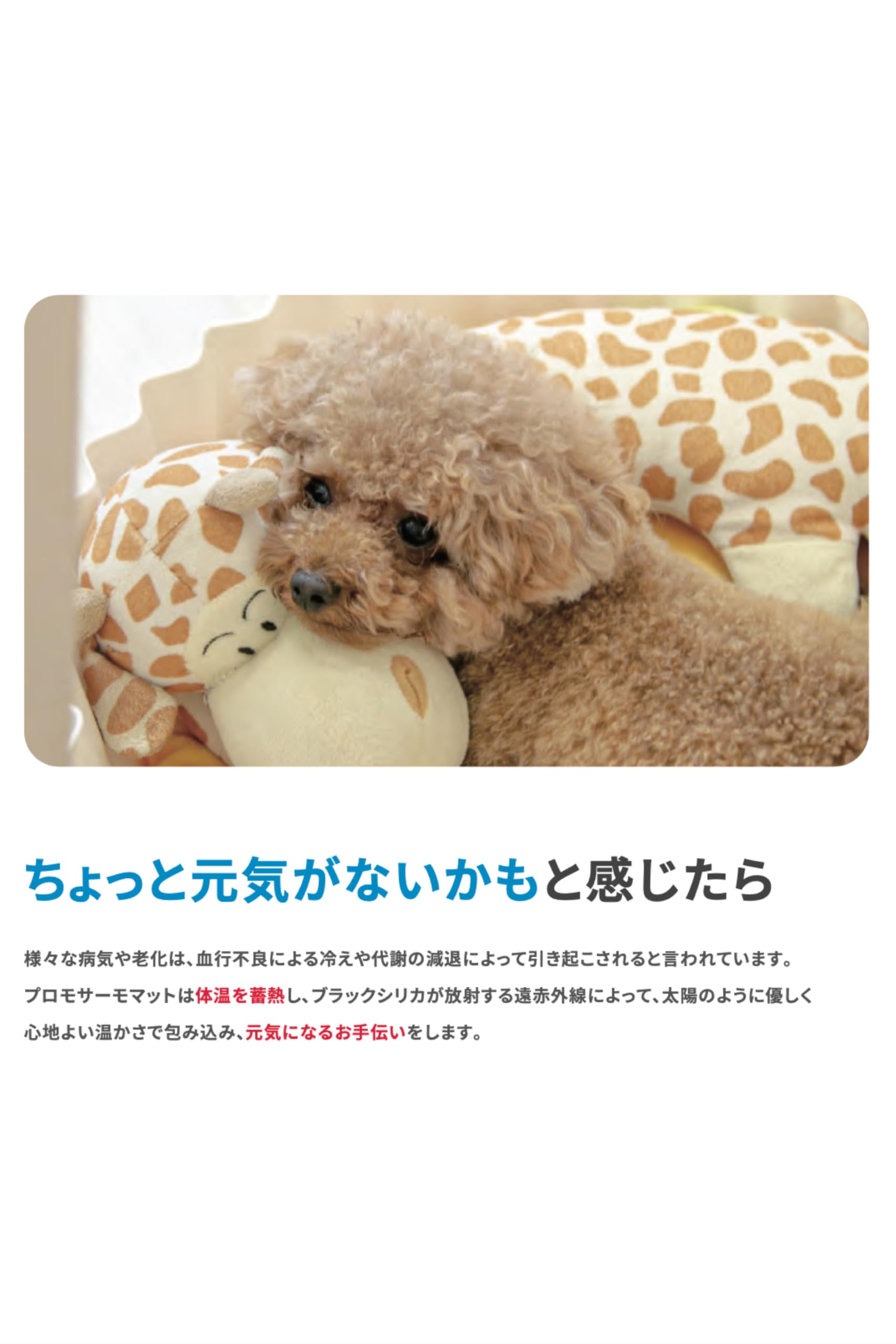Amazon | 【Wanmaile】プロモサーモマット(PROMO THERMO MAT)遠赤外線